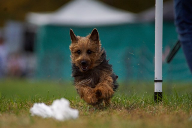 83650978-10-252ndtrial+(222)